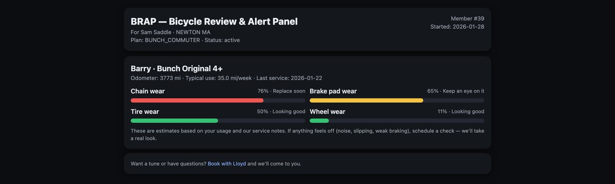 The BRAP wear tracker for one bike: chain wear 76 percent flagged replace soon, brake pads 65 percent, tyres 50 percent, wheels 11 percent.
